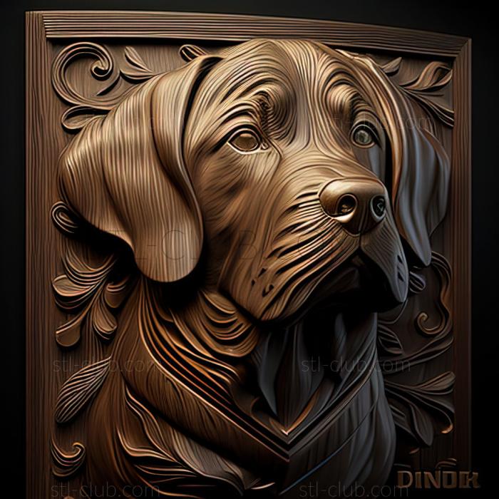 st Dunker dog breed dog